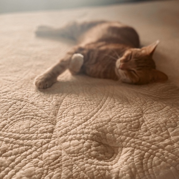 🤗 - Picture 3 of 17